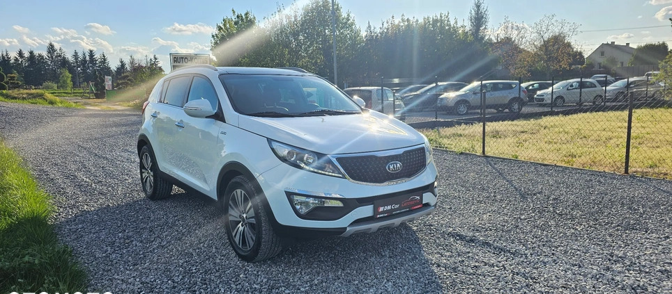 Kia Sportage cena 59900 przebieg: 157000, rok produkcji 2015 z Dębica małe 742